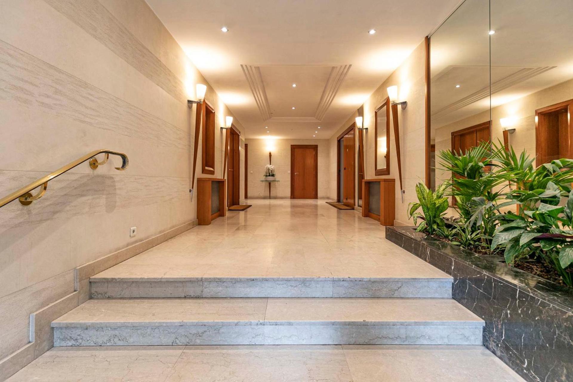 Le Velasquez Paris